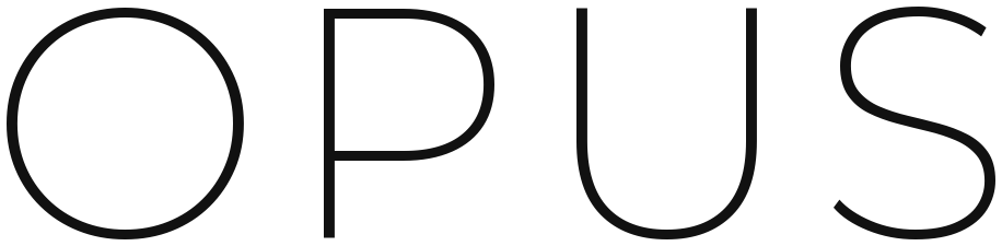 Opus Srl